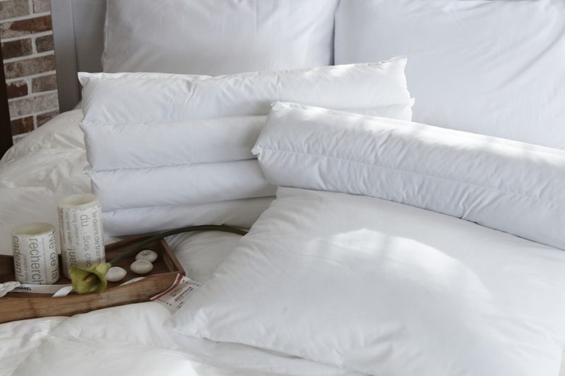pillows for pets